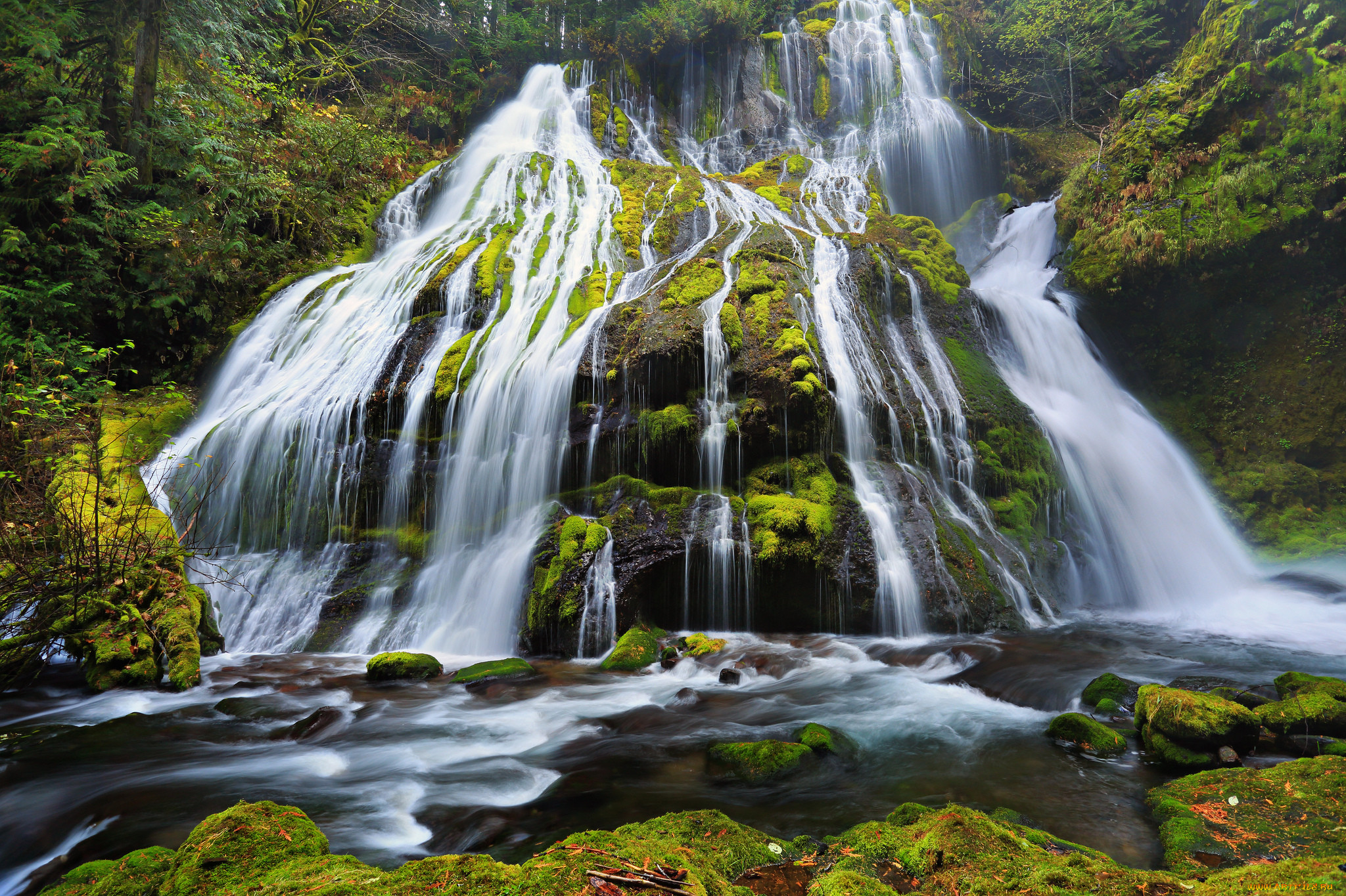 panther, creek, falls, columbia, river, gorge, oregon, , , , , 